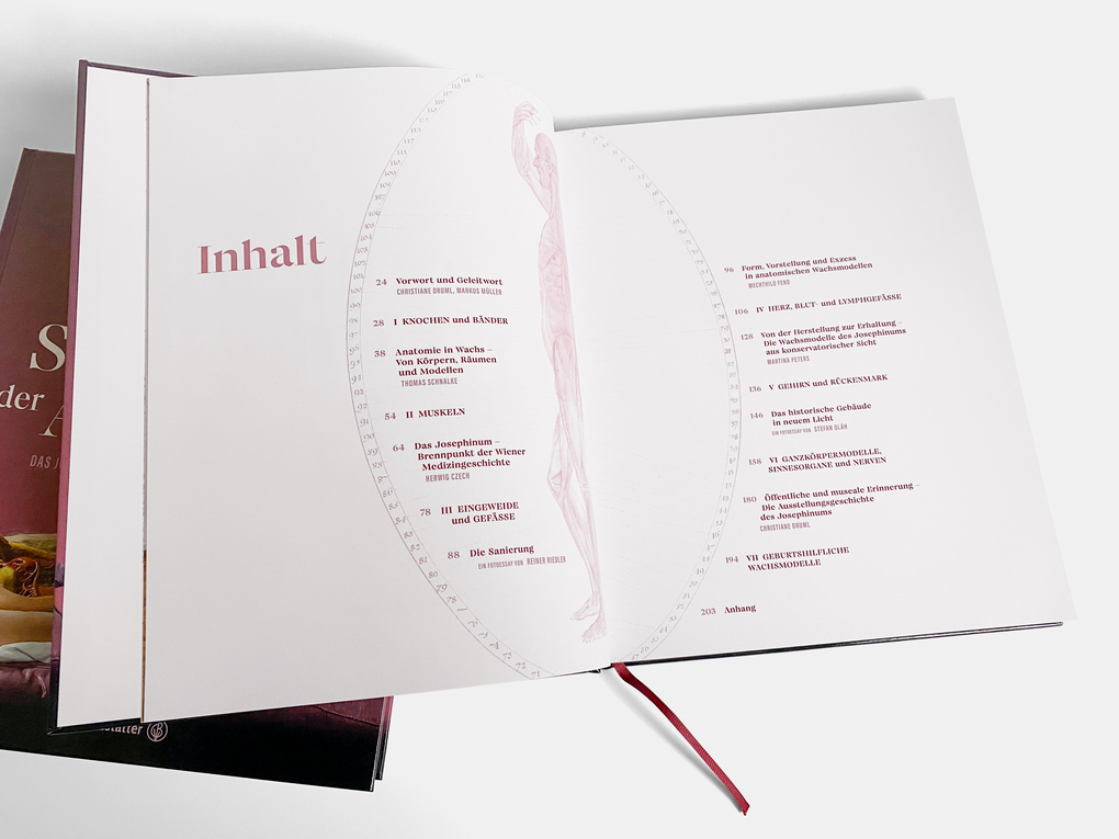 Weitere Ansicht: The Beauty of Anatomy