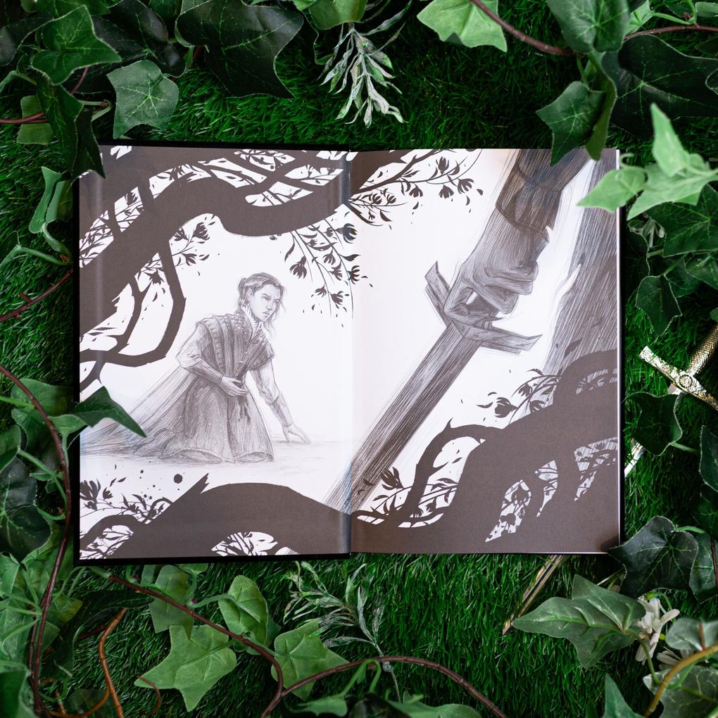 Weitere Ansicht: The Queen of Nothing: Collector's Edition | Holly Black