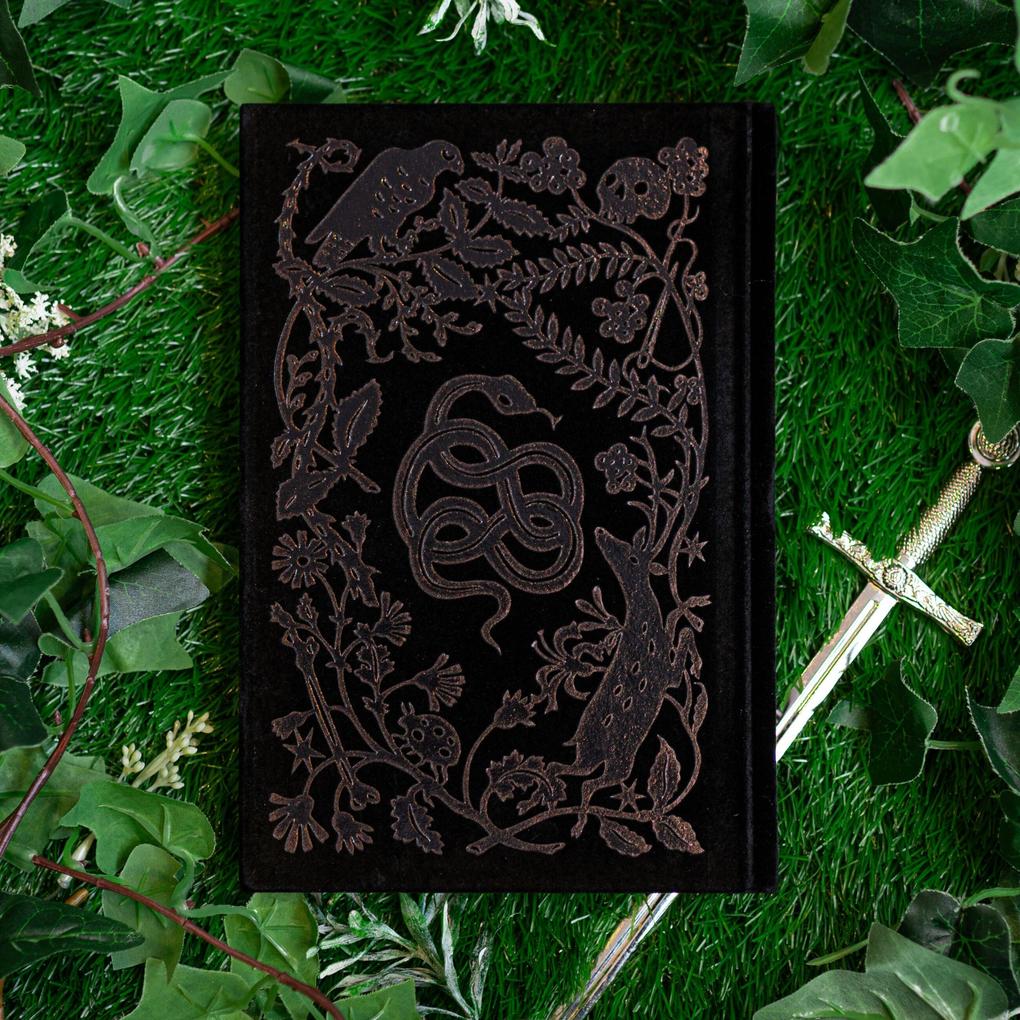 Weitere Ansicht: The Queen of Nothing: Collector's Edition | Holly Black