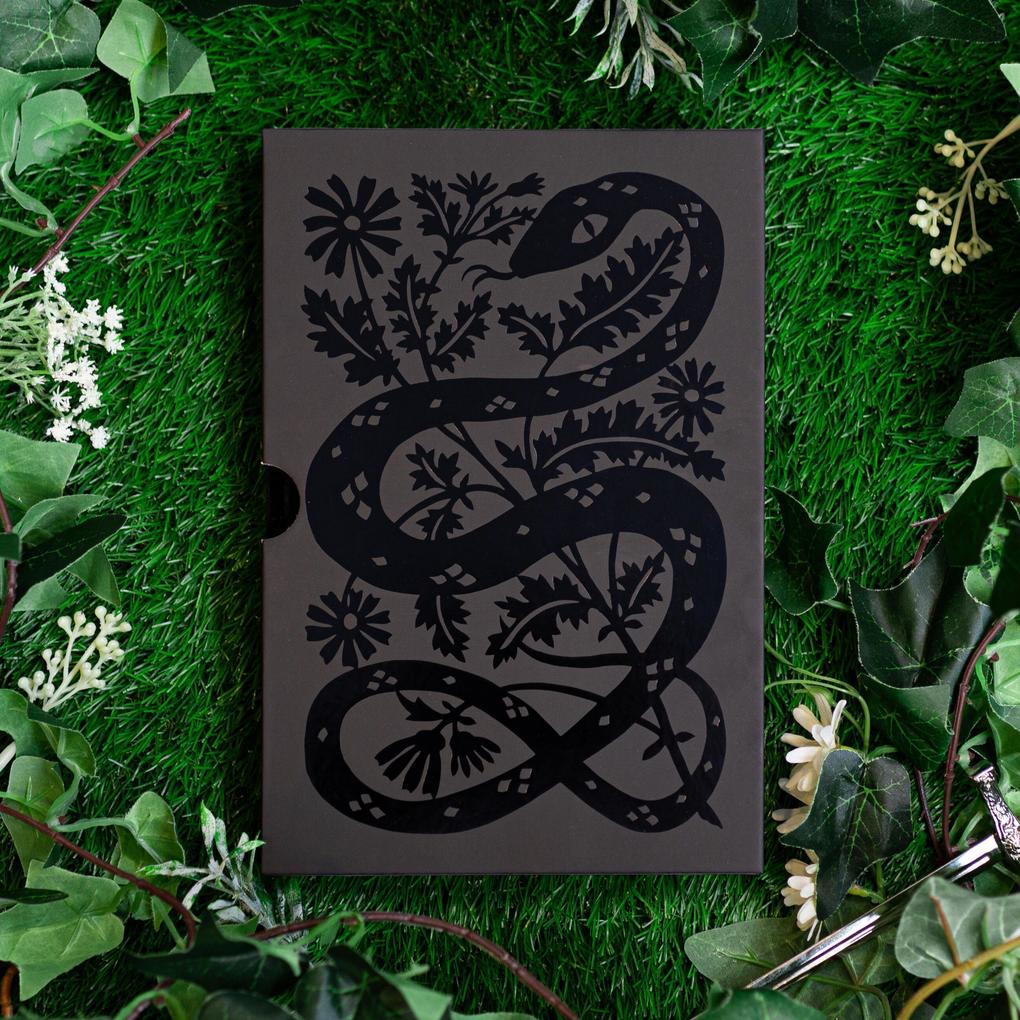 Weitere Ansicht: The Queen of Nothing: Collector's Edition | Holly Black