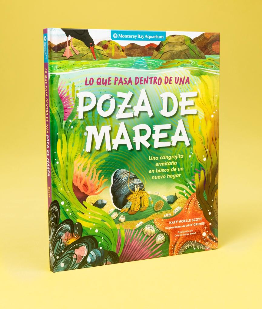 Weitere Ansicht: Lo Que Pasa Dentro de Una Poza de Marea | Monterey Bay Aquarium, Katy Scott