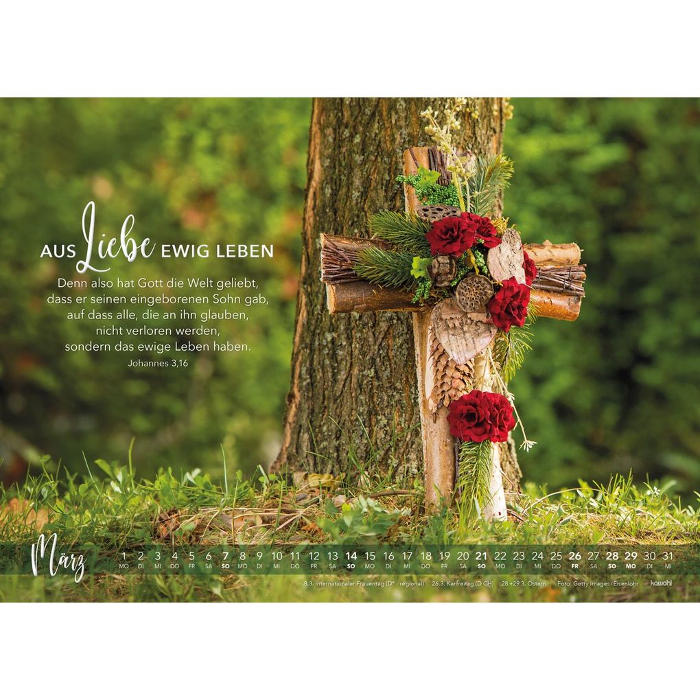 Weitere Ansicht: Die Liebe bleibt 2027