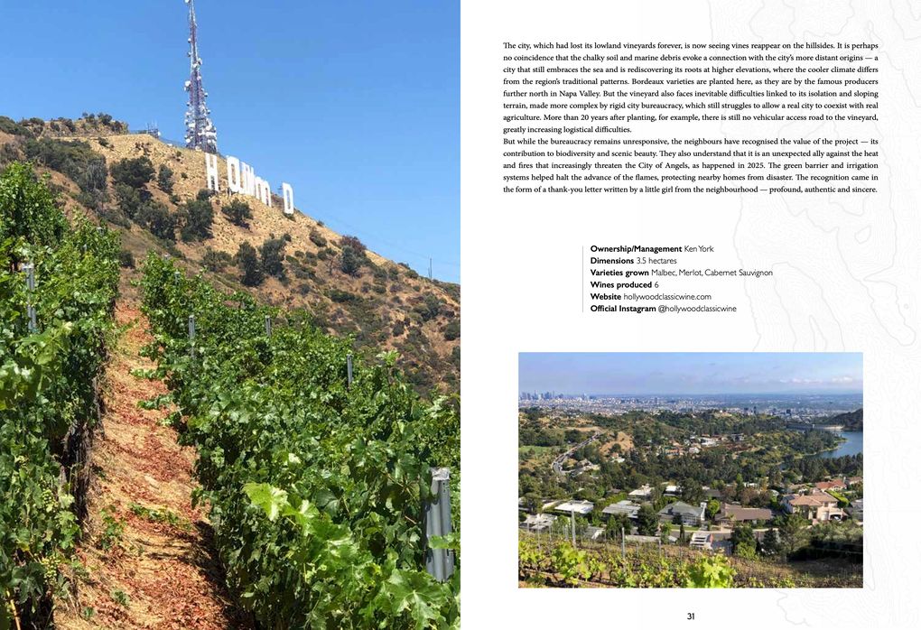 Weitere Ansicht: Atlas of urban vineyards | Nicola Purrello