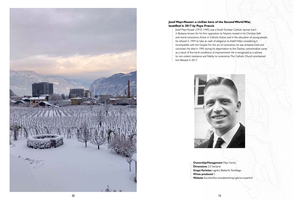 Weitere Ansicht: Atlas of urban vineyards | Nicola Purrello