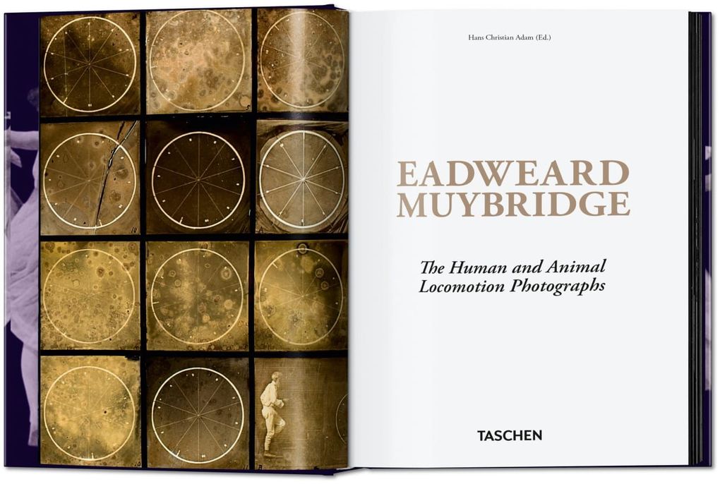 Weitere Ansicht: Muybridge | Eadweard Muybridge