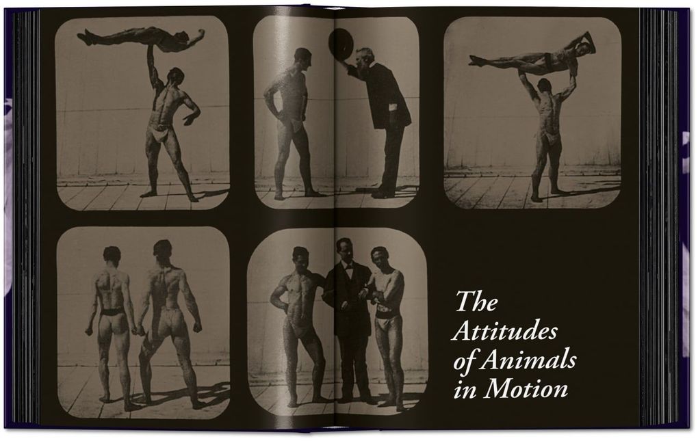Weitere Ansicht: Muybridge | Eadweard Muybridge