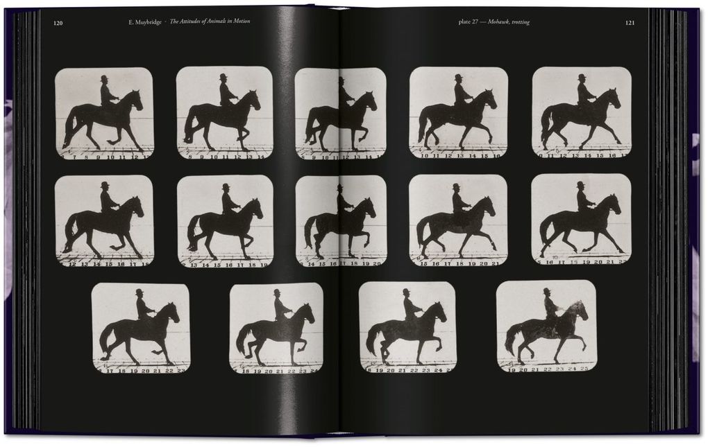 Weitere Ansicht: Muybridge | Eadweard Muybridge