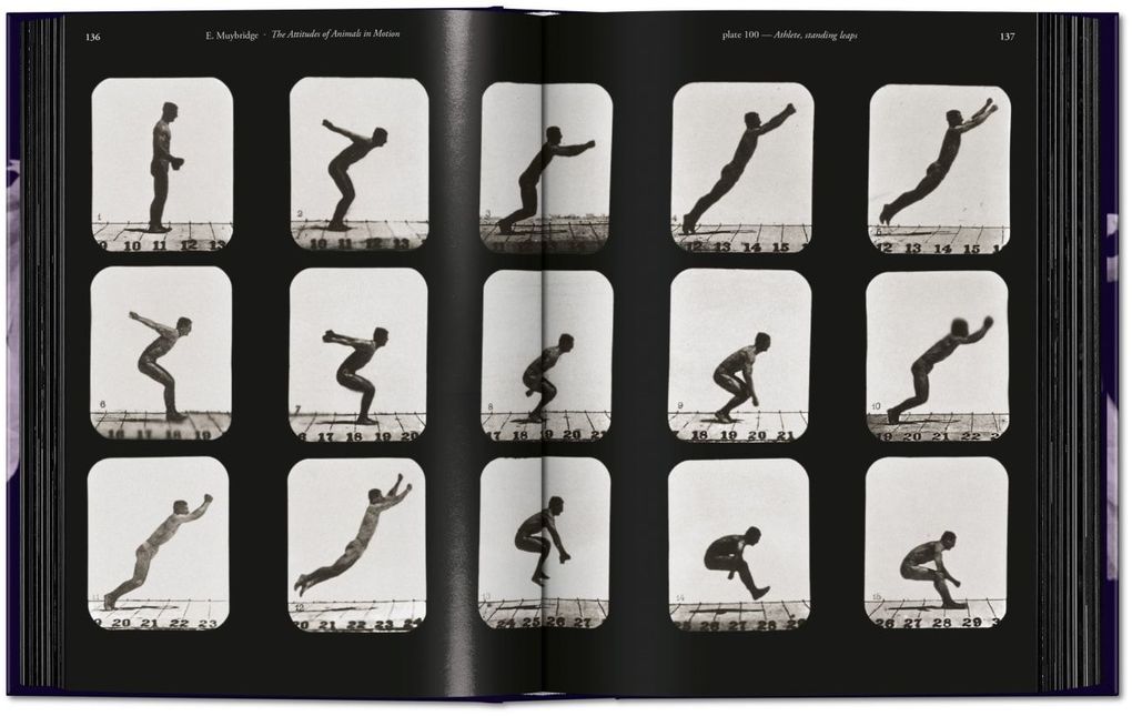 Weitere Ansicht: Muybridge | Eadweard Muybridge