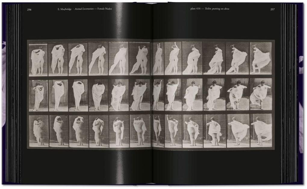 Weitere Ansicht: Muybridge | Eadweard Muybridge