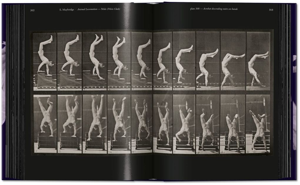 Weitere Ansicht: Muybridge | Eadweard Muybridge