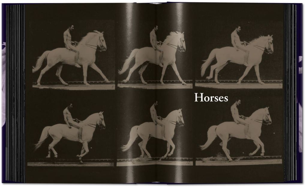 Weitere Ansicht: Muybridge | Eadweard Muybridge