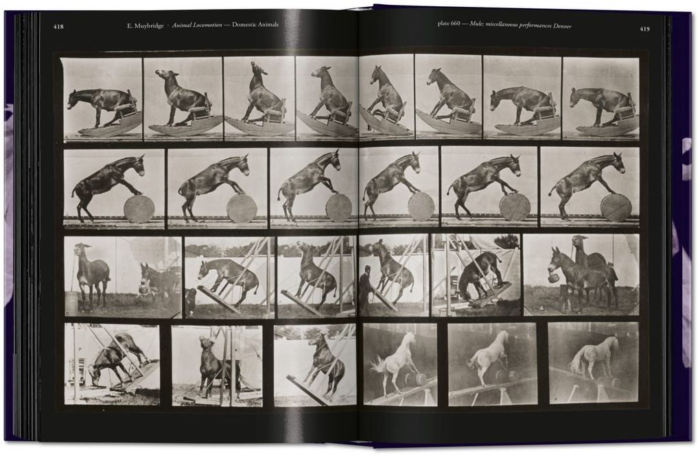 Weitere Ansicht: Muybridge | Eadweard Muybridge