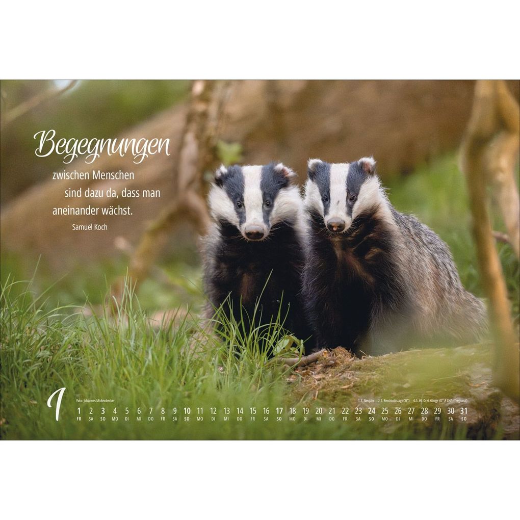 Weitere Ansicht: Real Wildlife 2027