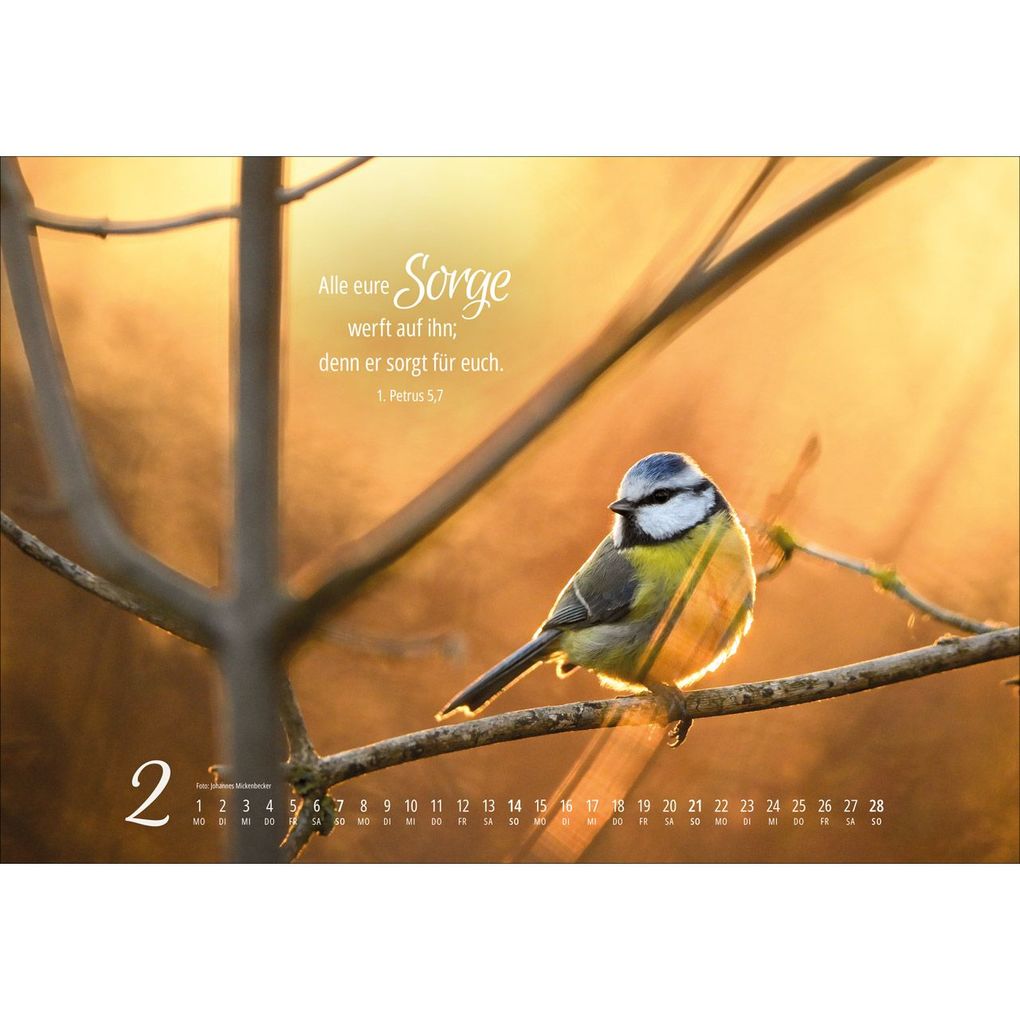 Weitere Ansicht: Real Wildlife 2027