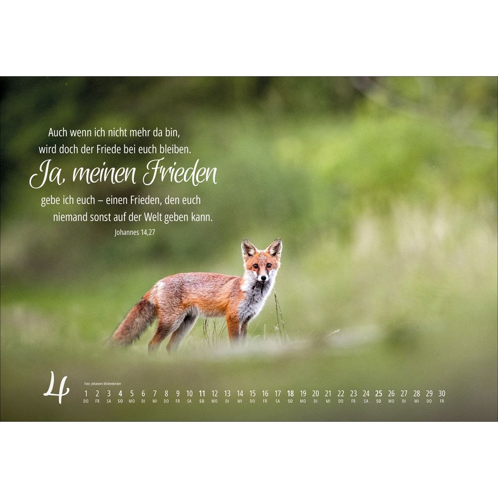 Weitere Ansicht: Real Wildlife 2027