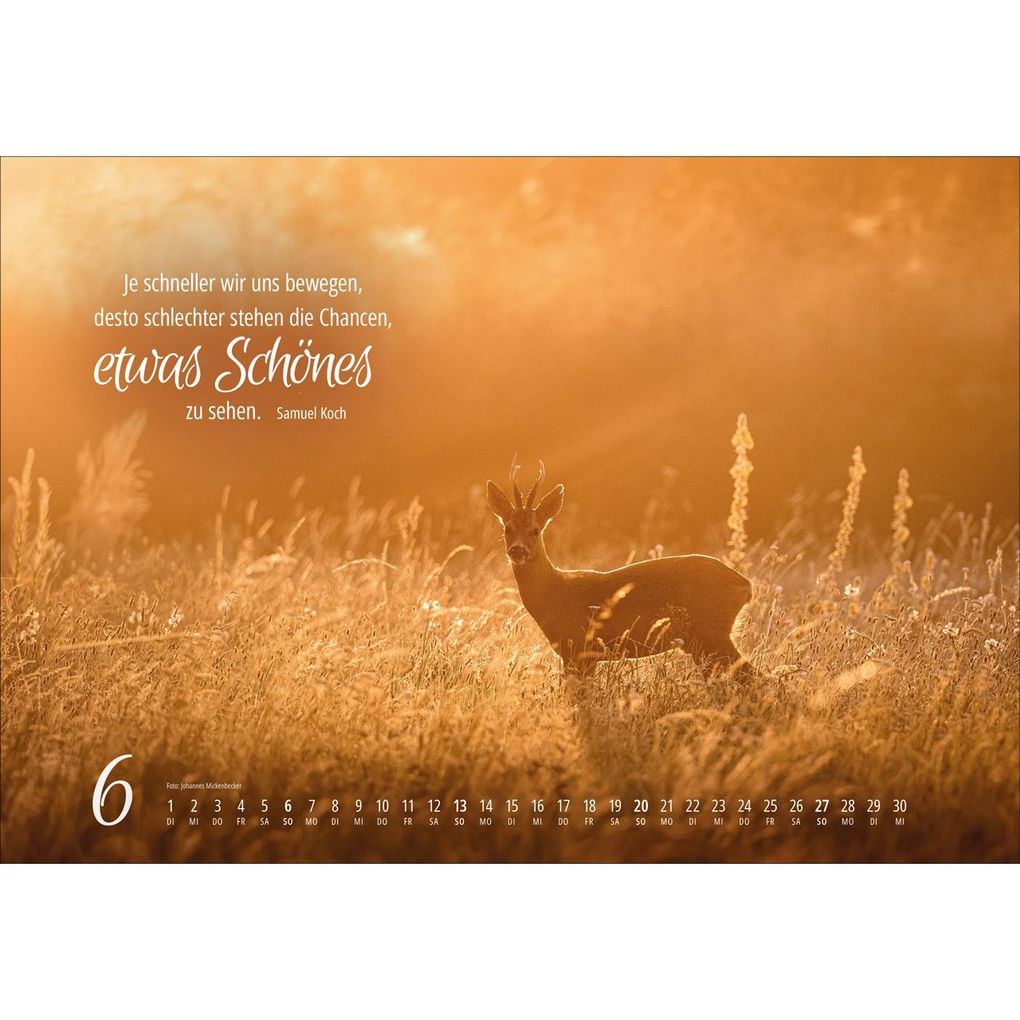 Weitere Ansicht: Real Wildlife 2027