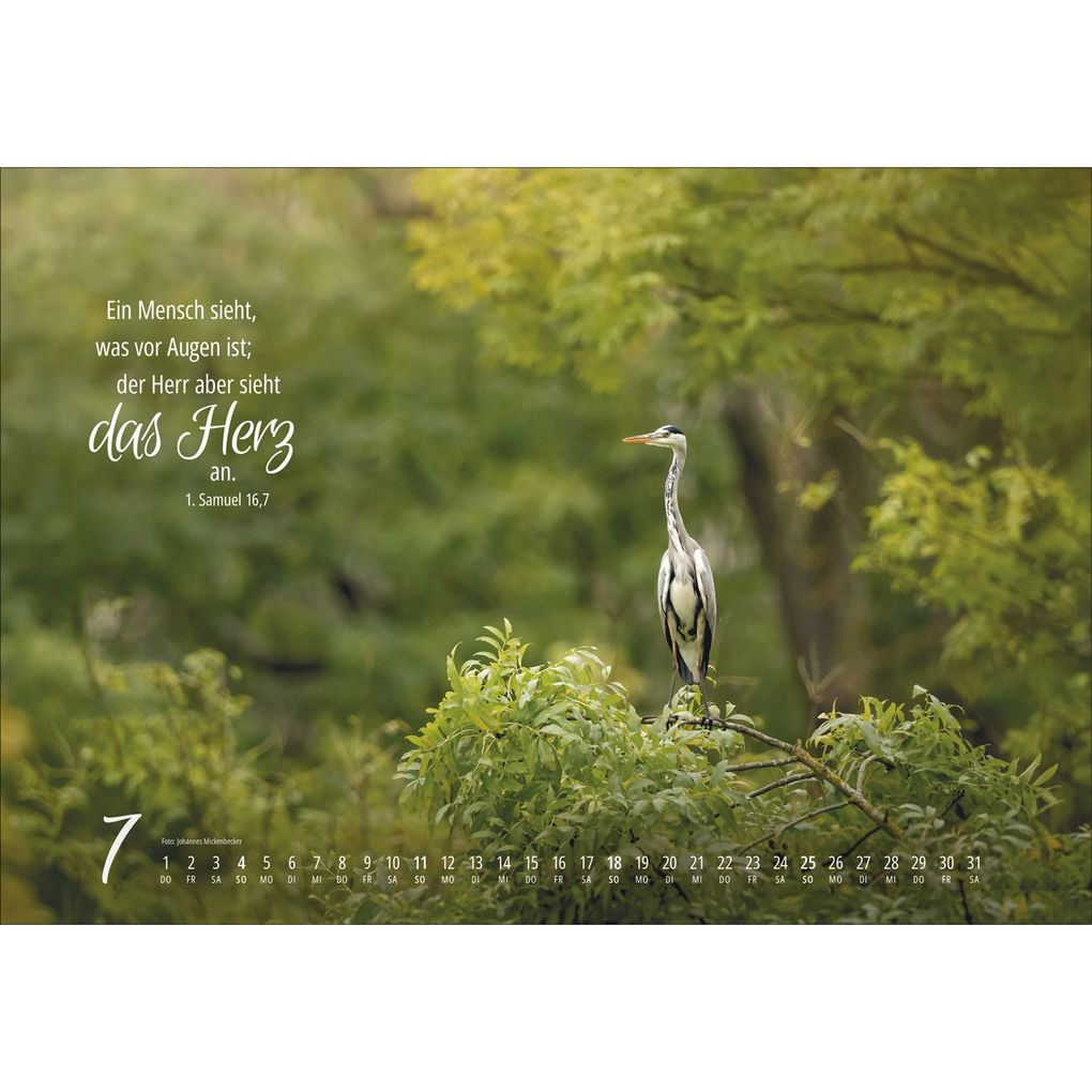 Weitere Ansicht: Real Wildlife 2027