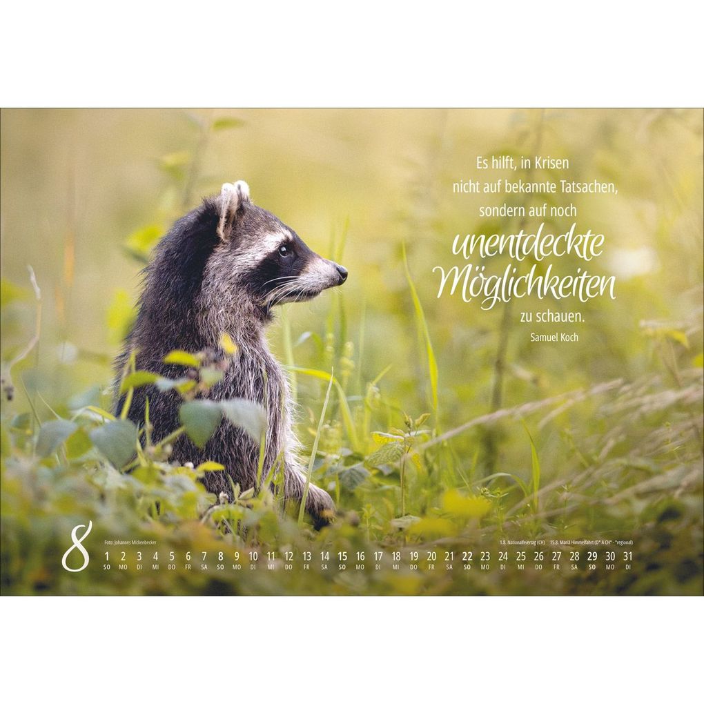 Weitere Ansicht: Real Wildlife 2027