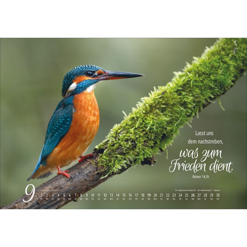 Weitere Ansicht: Real Wildlife 2027
