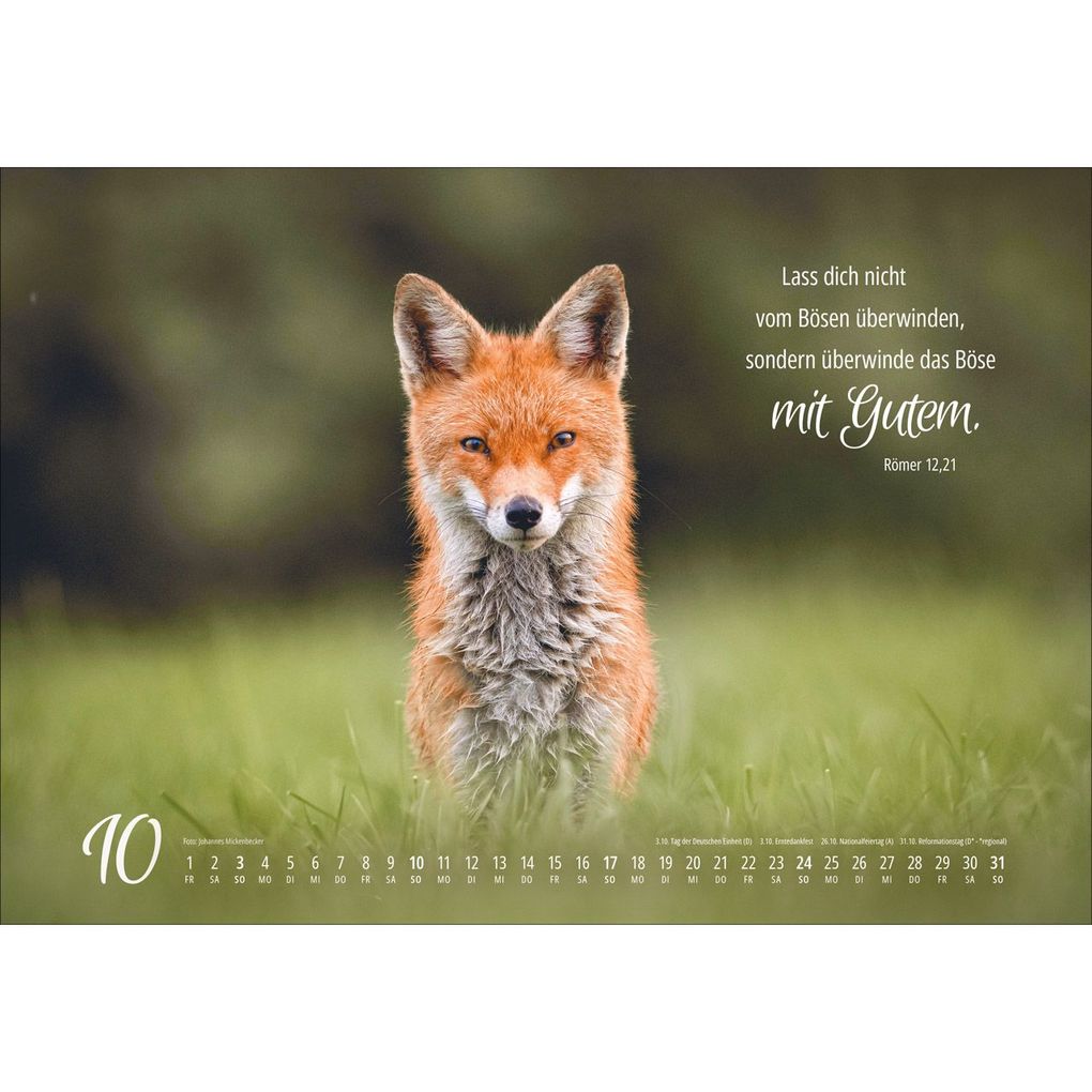 Weitere Ansicht: Real Wildlife 2027