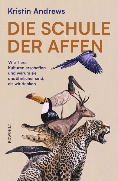 Produktbild: Die Schule der Affen | Kristin Andrews