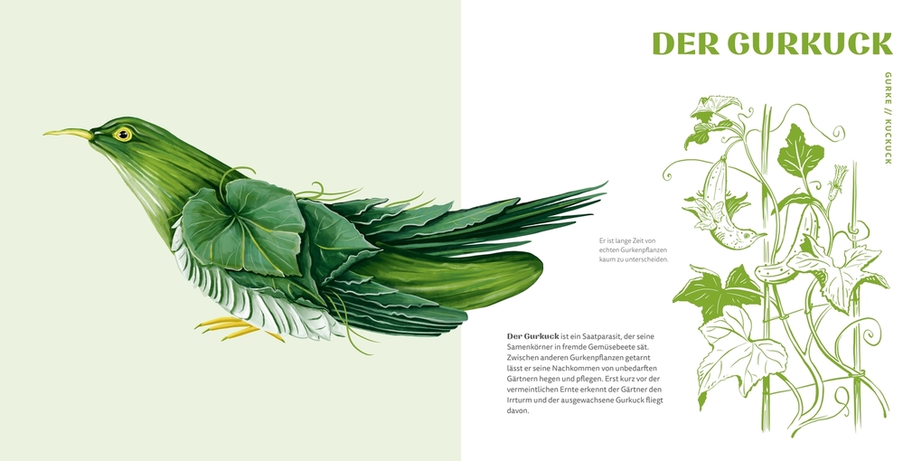 Weitere Ansicht: Gemüsevögel | Sarah Heuzeroth