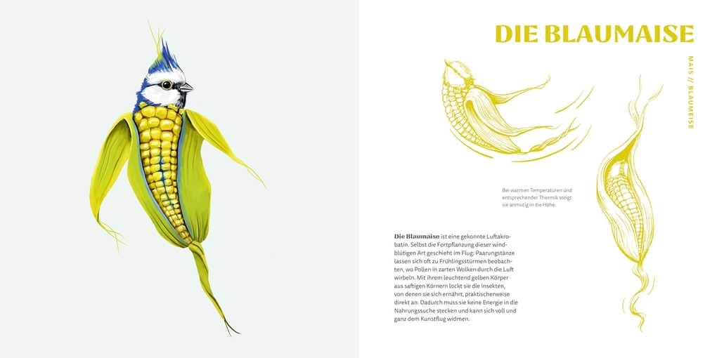 Weitere Ansicht: Gemüsevögel | Sarah Heuzeroth