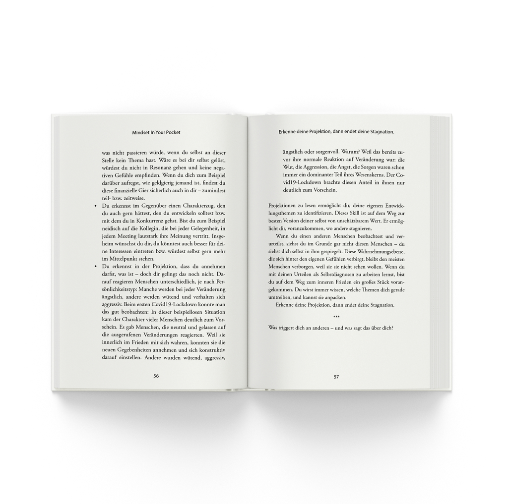 Weitere Ansicht: Meistere dein Mindset | Christian Bischoff