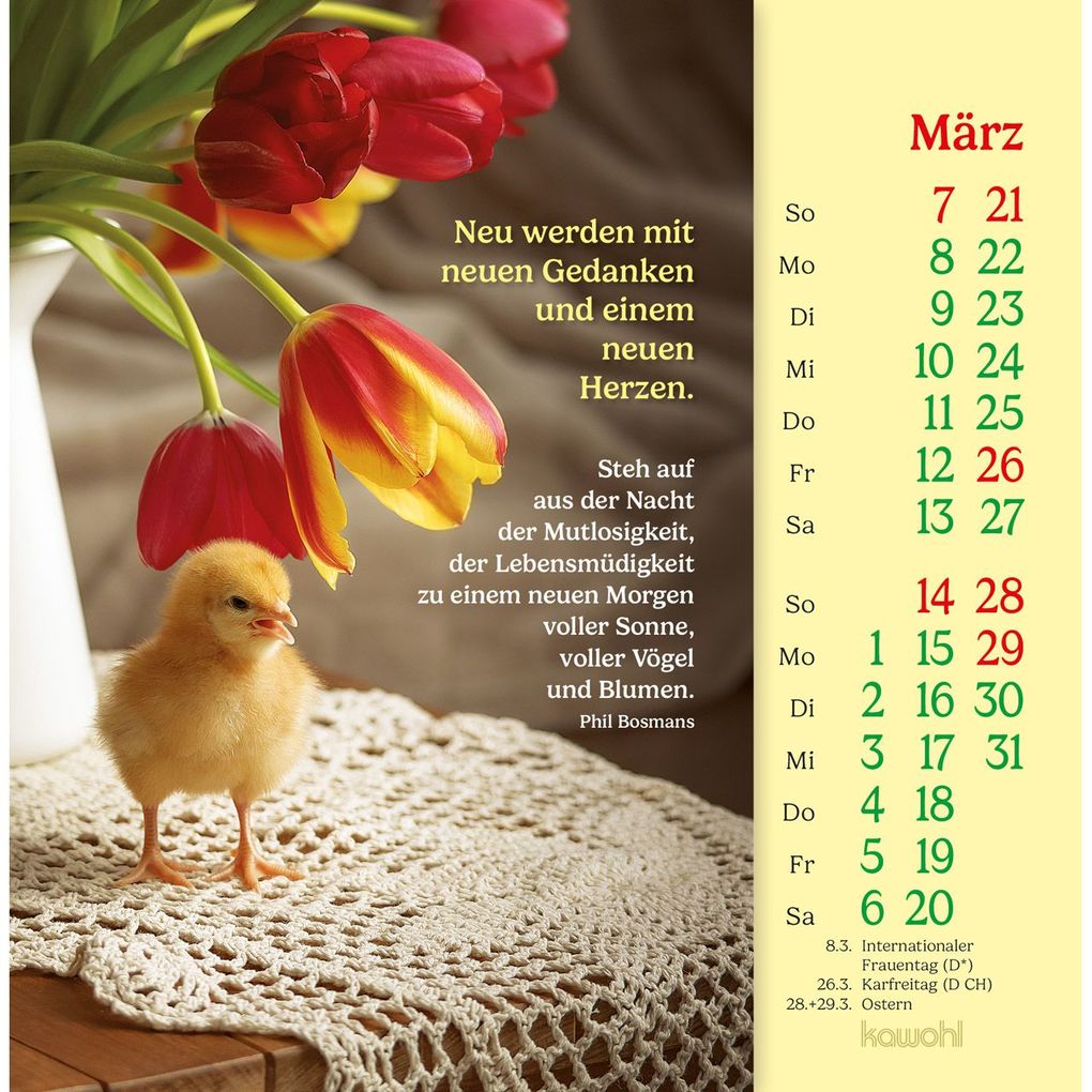 Weitere Ansicht: Phil Bosmans Postkartenkalender 2027 | Phil Bosmans