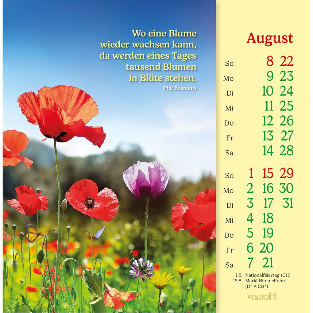 Weitere Ansicht: Phil Bosmans Postkartenkalender 2027 | Phil Bosmans