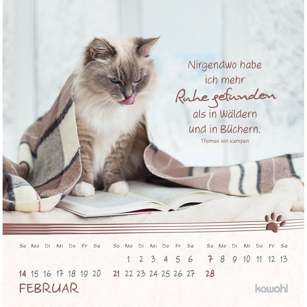 Weitere Ansicht: Kleine Katzen-Tatzen 2027