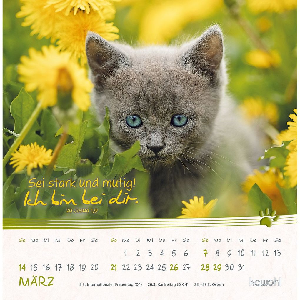 Weitere Ansicht: Kleine Katzen-Tatzen 2027