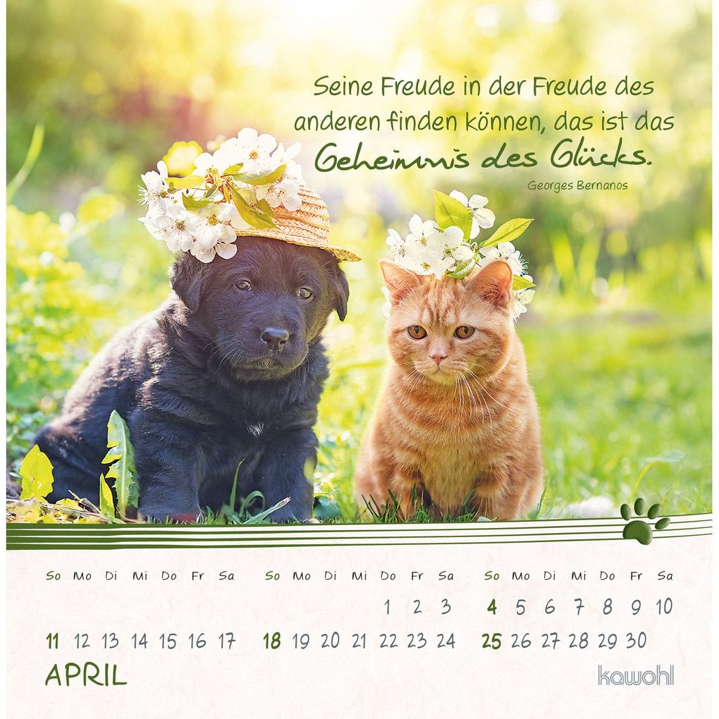 Weitere Ansicht: Kleine Katzen-Tatzen 2027