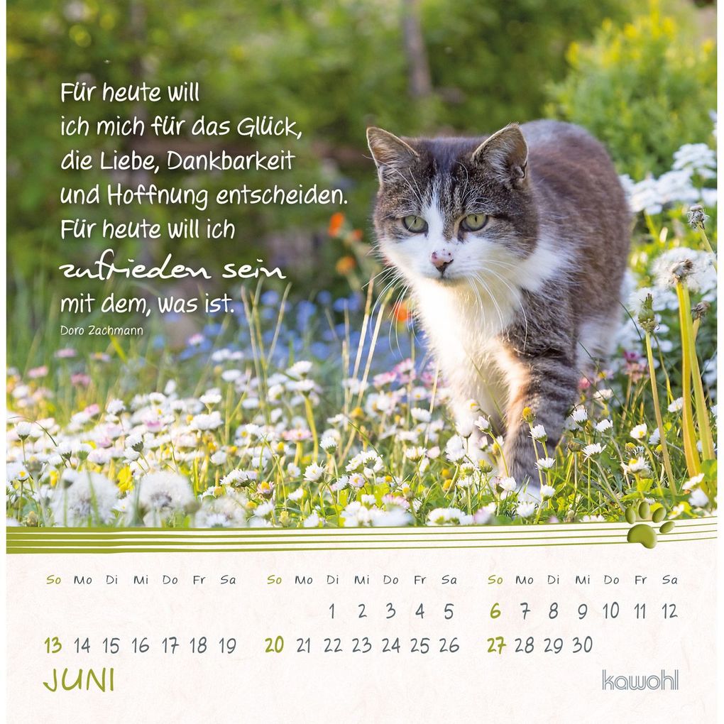 Weitere Ansicht: Kleine Katzen-Tatzen 2027