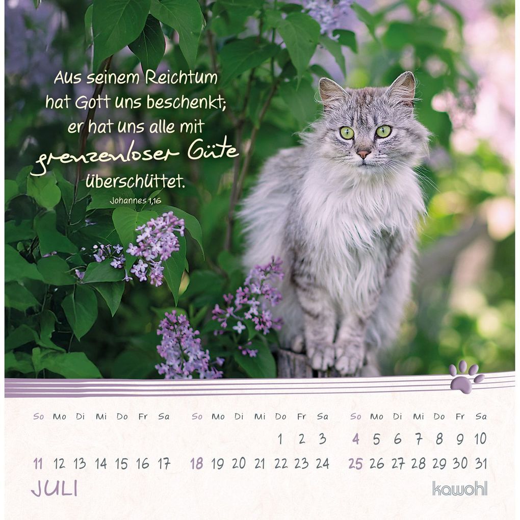 Weitere Ansicht: Kleine Katzen-Tatzen 2027