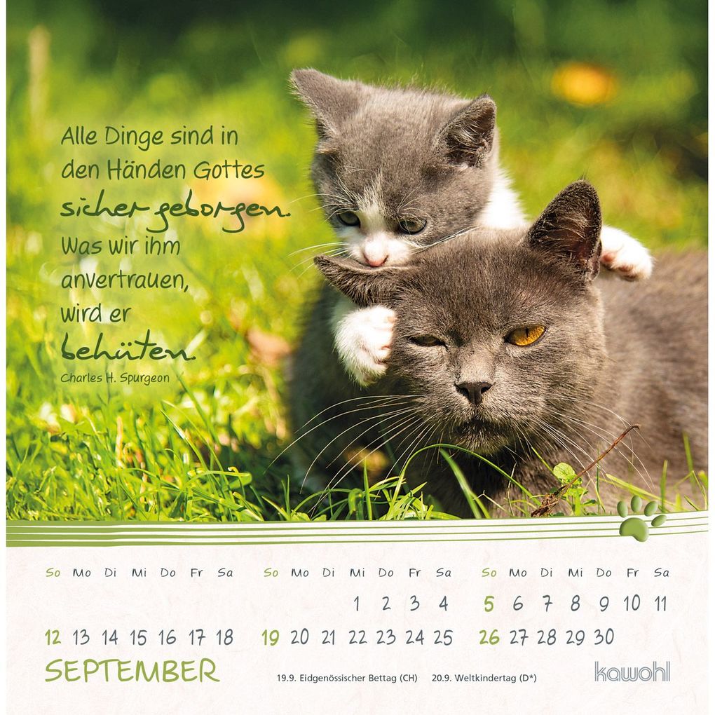 Weitere Ansicht: Kleine Katzen-Tatzen 2027