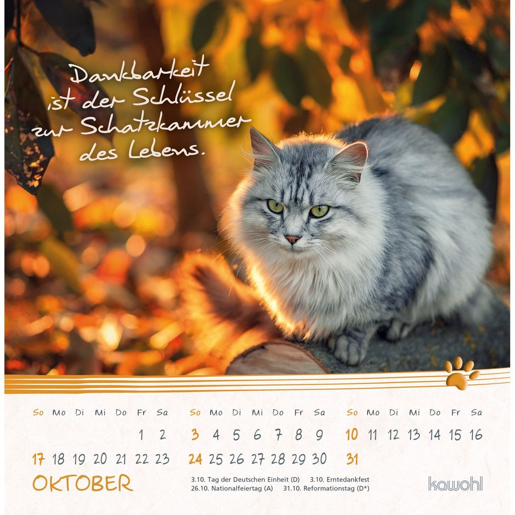 Weitere Ansicht: Kleine Katzen-Tatzen 2027