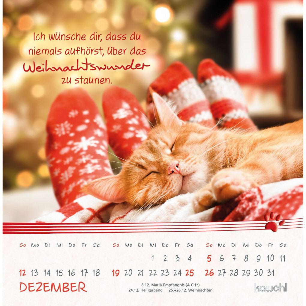 Weitere Ansicht: Kleine Katzen-Tatzen 2027