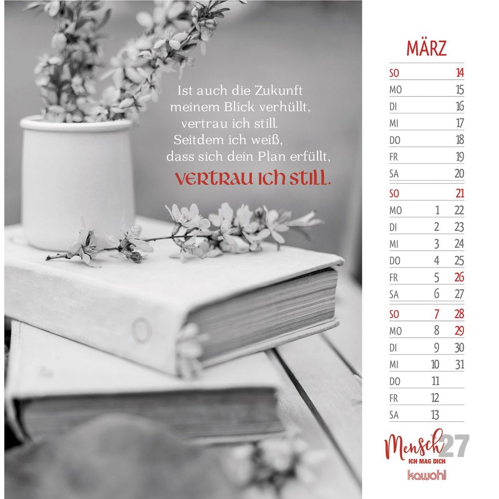 Weitere Ansicht: Mensch, ich mag dich 2027