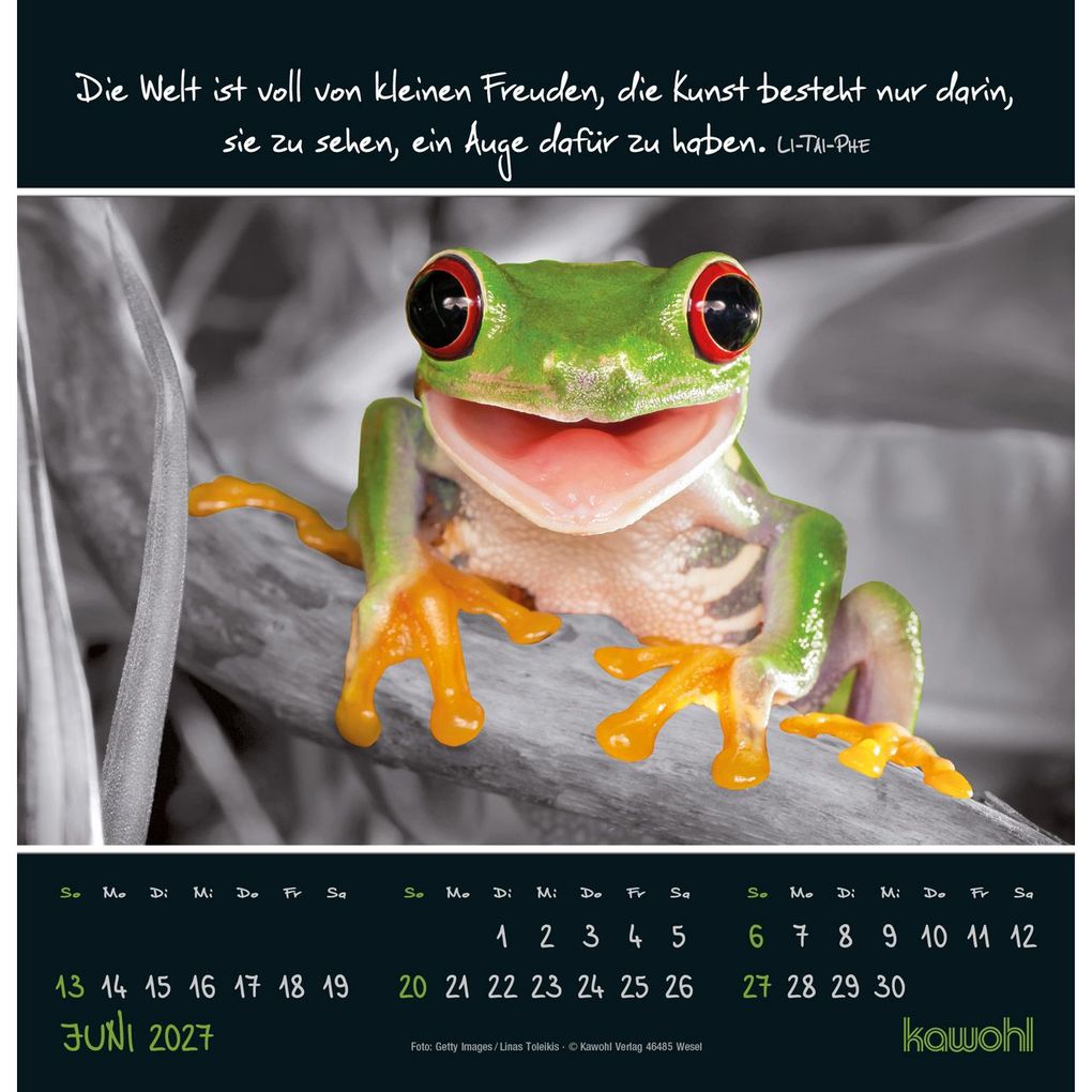 Weitere Ansicht: Kleine Wunder entdecken 2027
