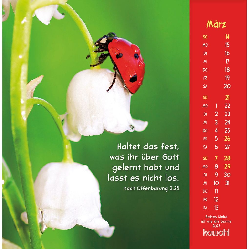 Weitere Ansicht: Gottes Liebe ist wie die Sonne 2027