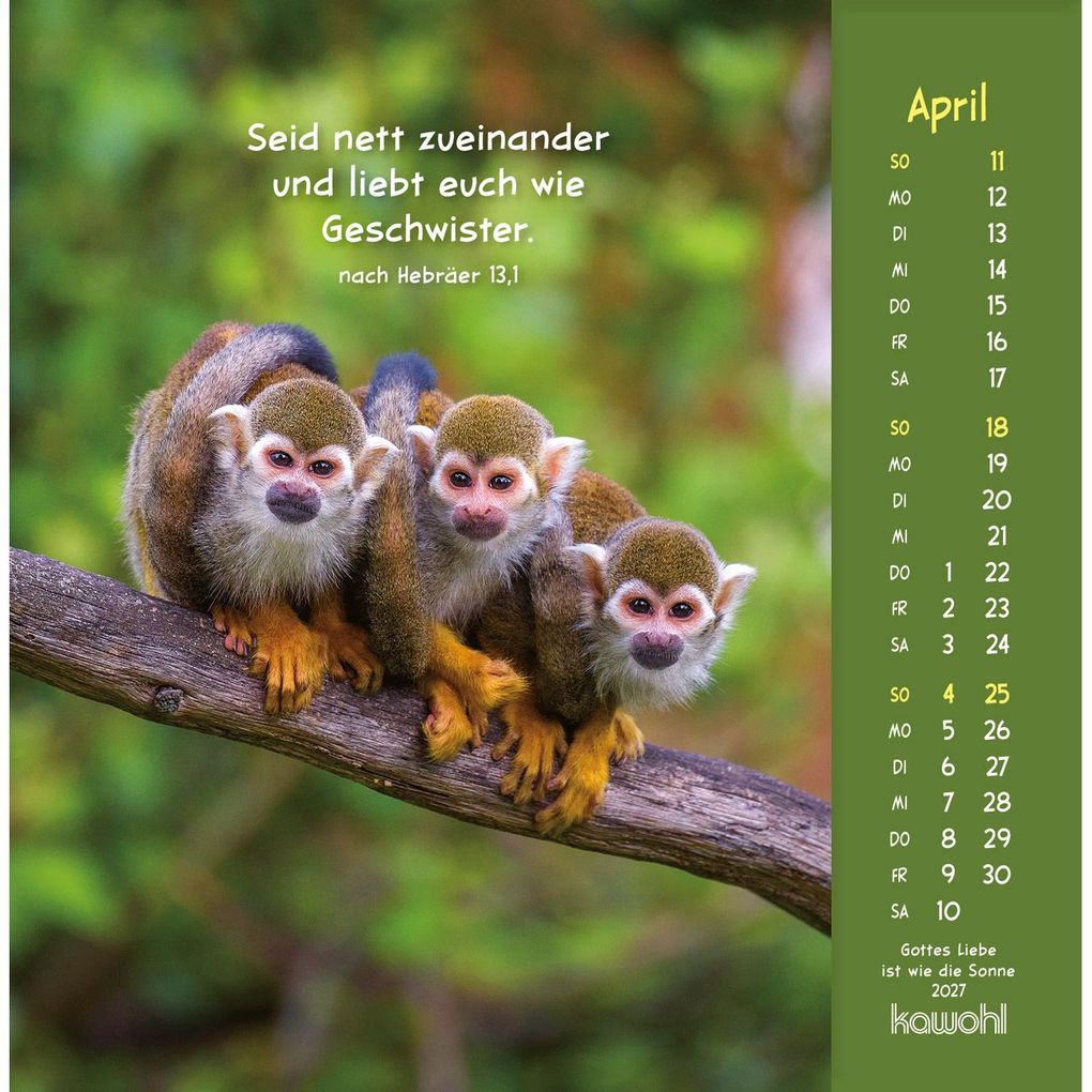 Weitere Ansicht: Gottes Liebe ist wie die Sonne 2027