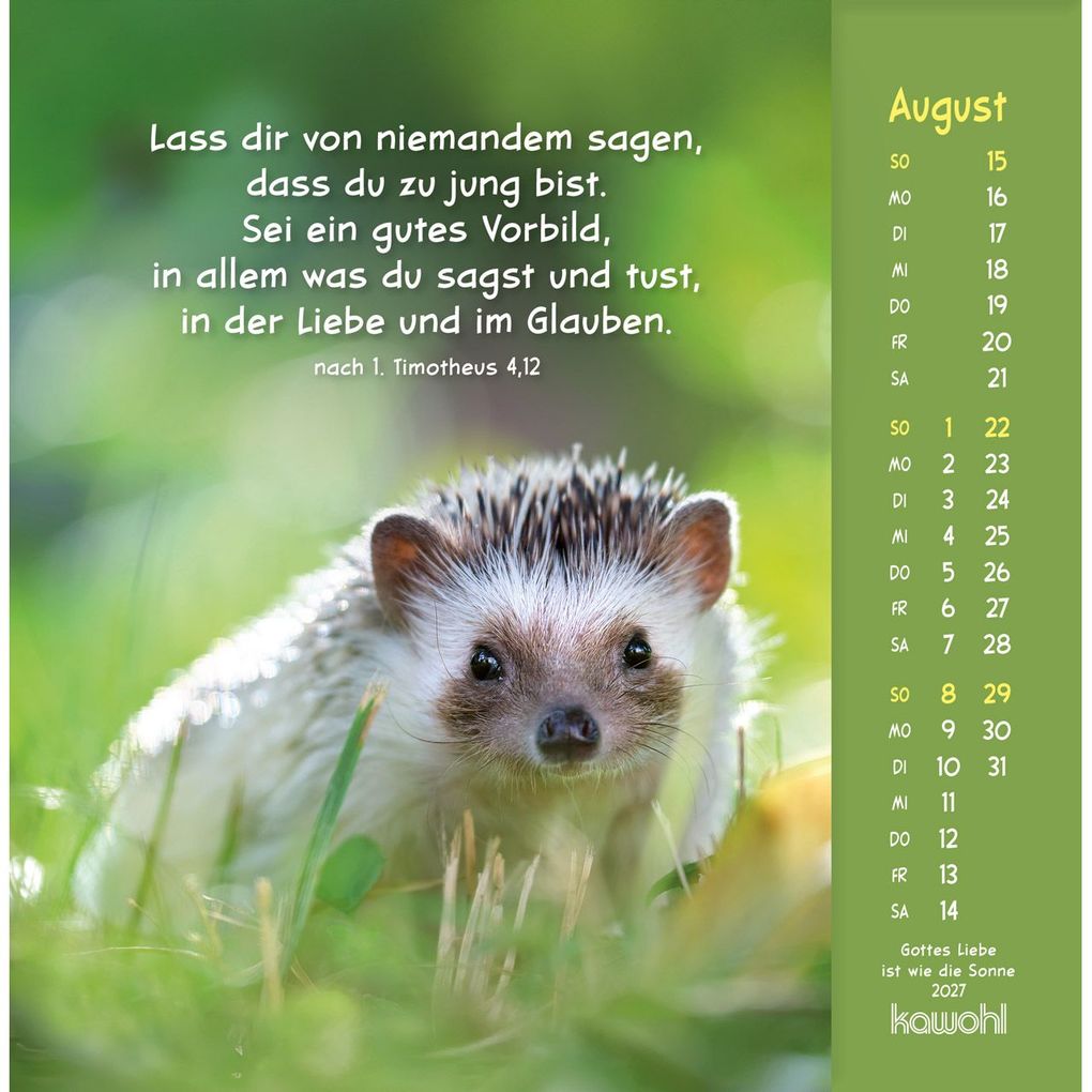 Weitere Ansicht: Gottes Liebe ist wie die Sonne 2027