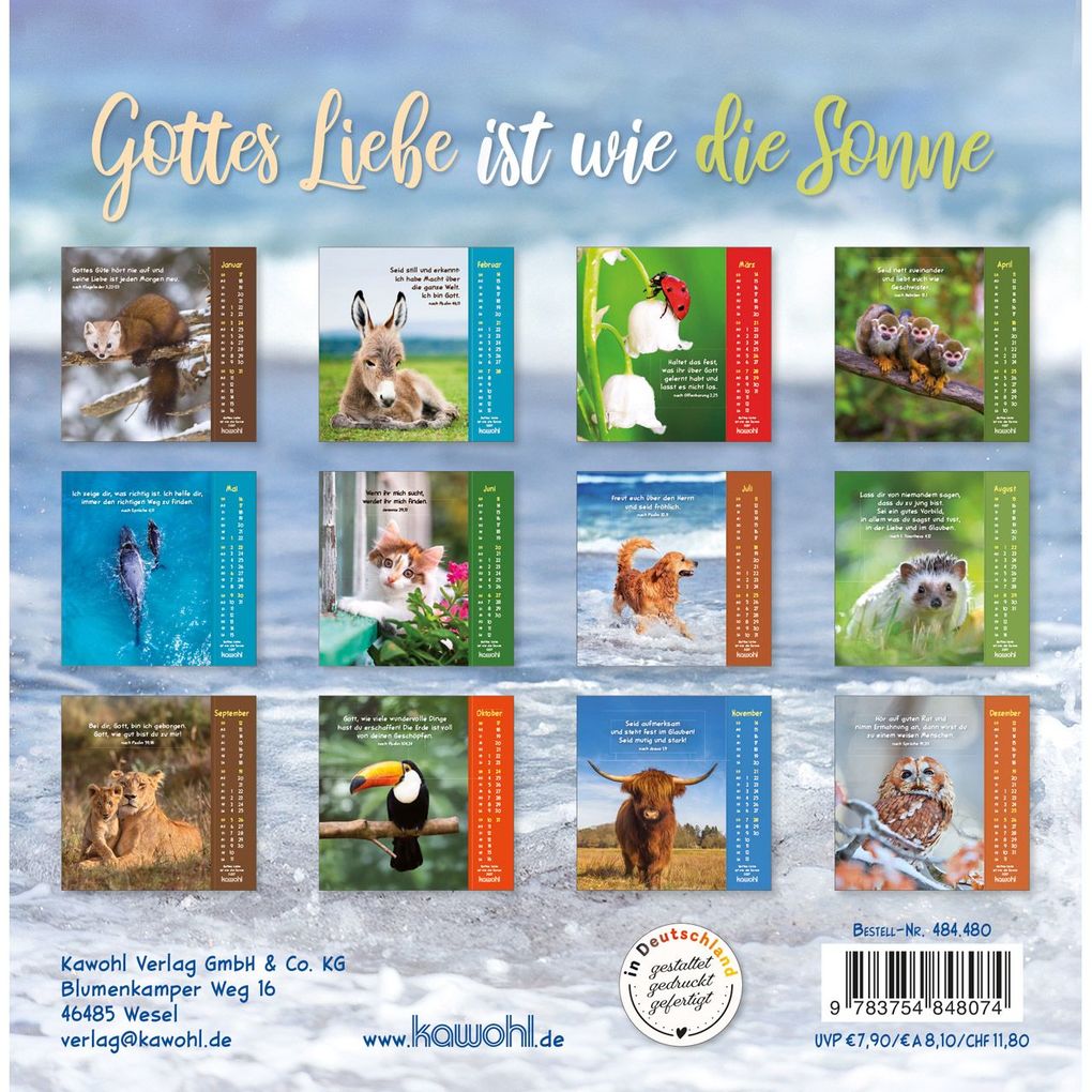 Weitere Ansicht: Gottes Liebe ist wie die Sonne 2027