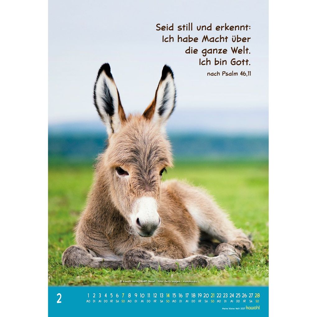 Weitere Ansicht: Meine kleine Welt 2027