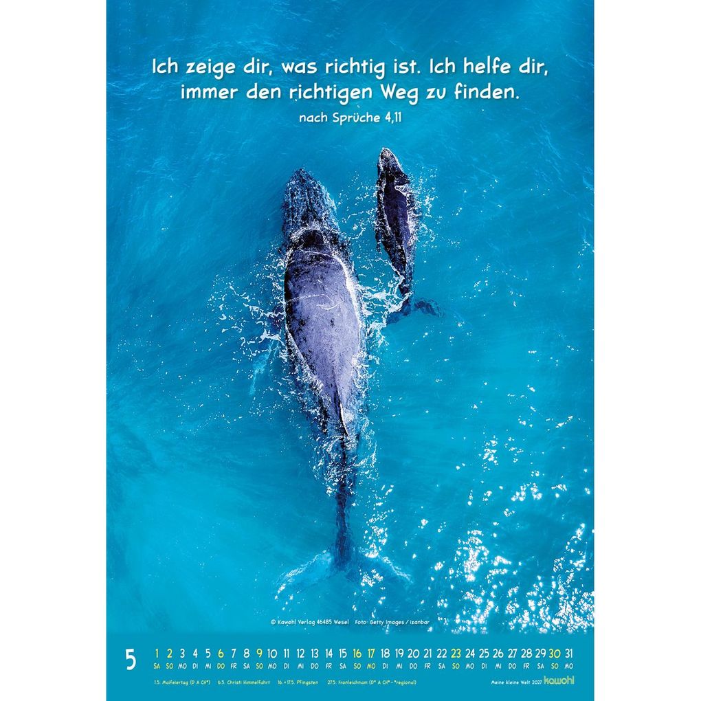 Weitere Ansicht: Meine kleine Welt 2027