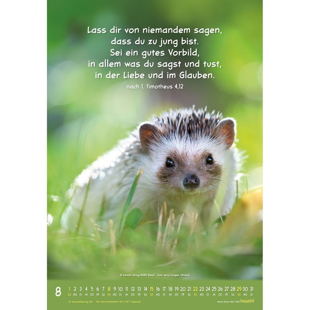 Weitere Ansicht: Meine kleine Welt 2027