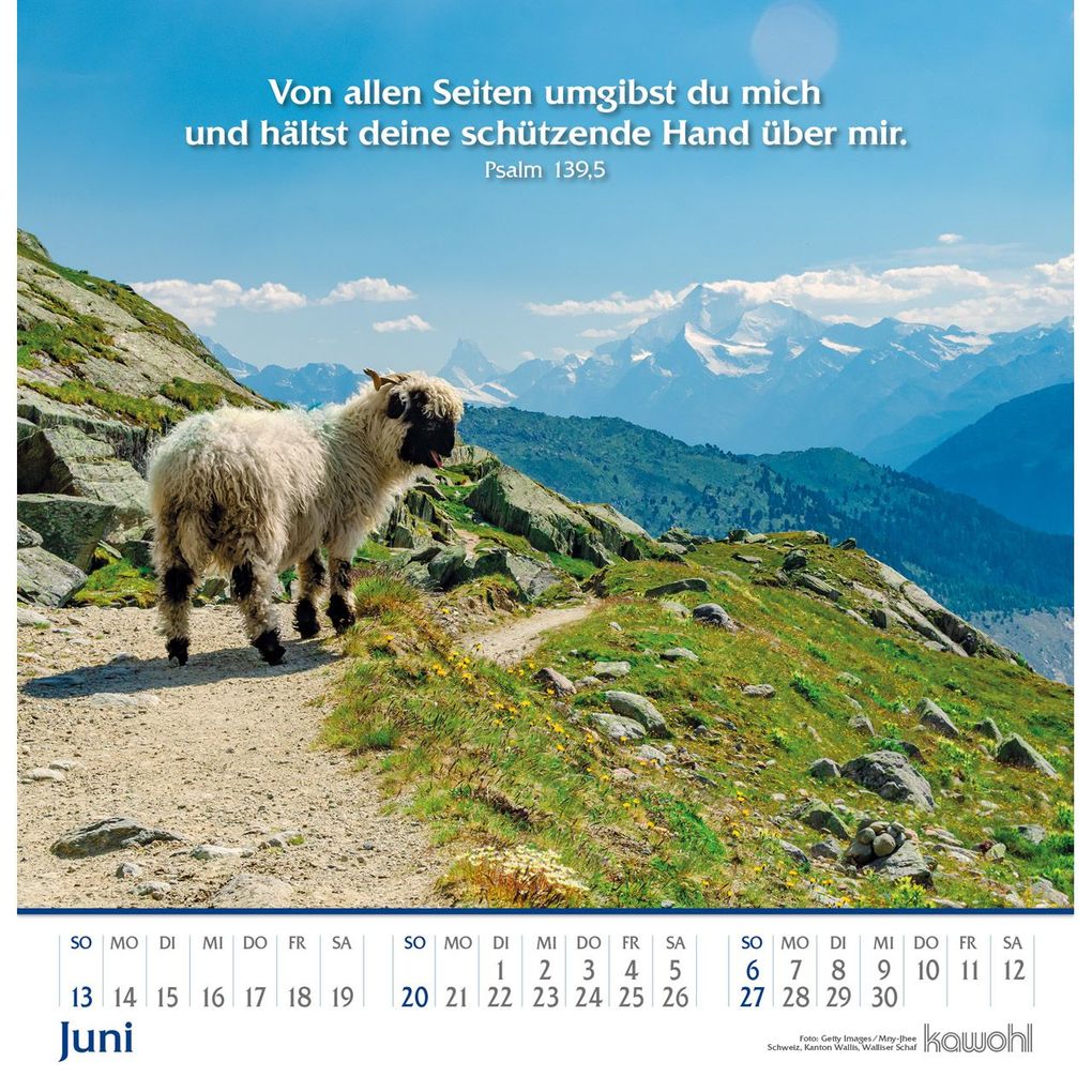 Weitere Ansicht: Glanz der Berge 2027