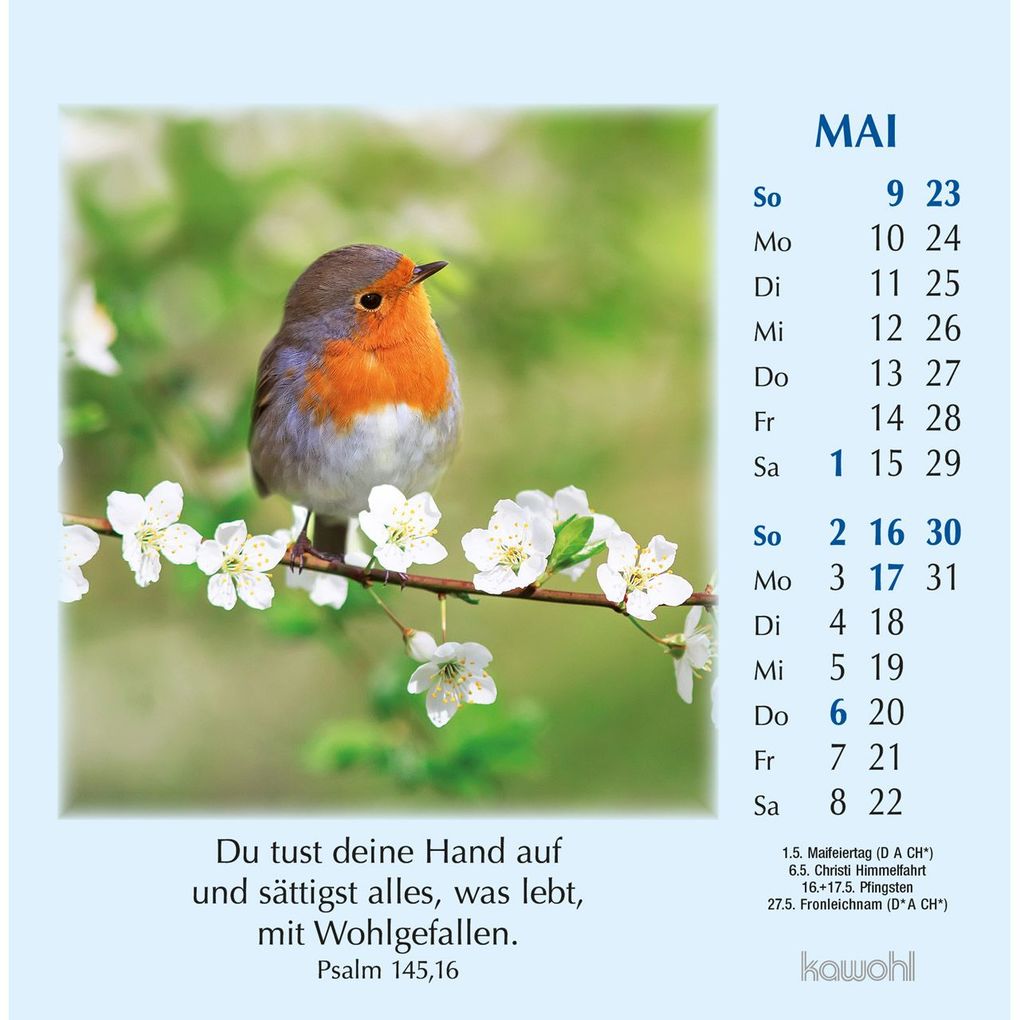 Weitere Ansicht: Worte des Lebens 2027