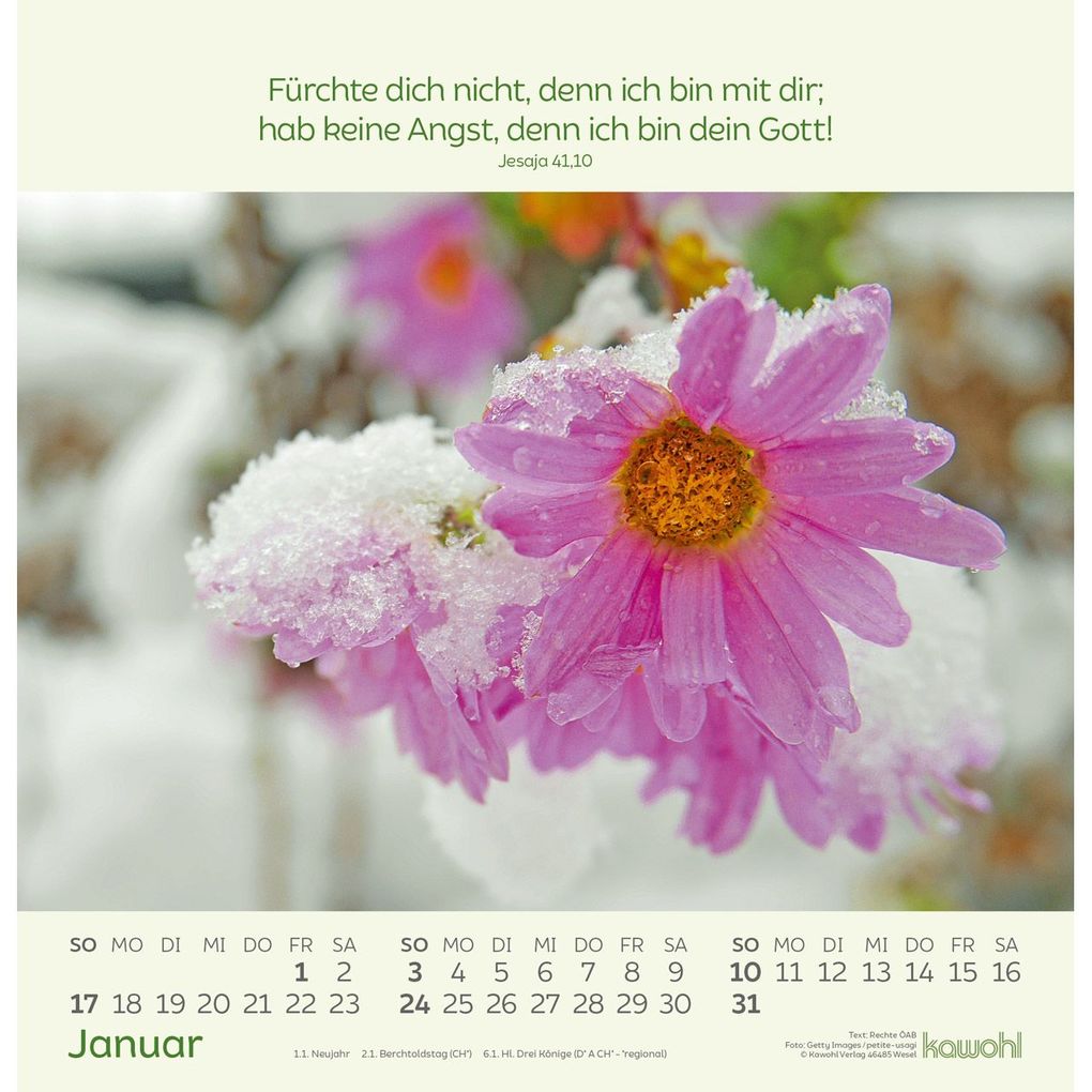 Weitere Ansicht: Blumengrüße 2027